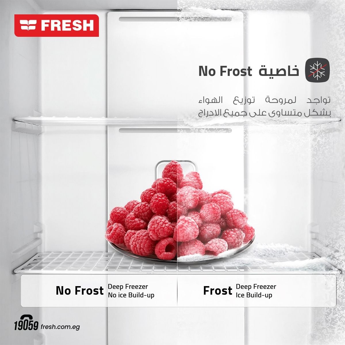 ديب فريزر رأسي فريش LR270 IBC ، سعة 200 لتر ، نوفروست ، انفرتر ، اسود - 500020496