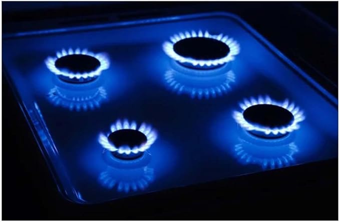 Techno Fire Gas Cooker , 4 Burners , Stainless Steel - TF-80-SG