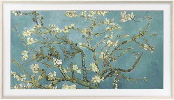 Samsung Customizable Frame for 55-inch (2020 model) Beige - VG-SCFT55BE/ZA