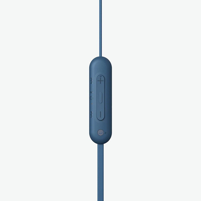 Sony C100 Earphones , Blue