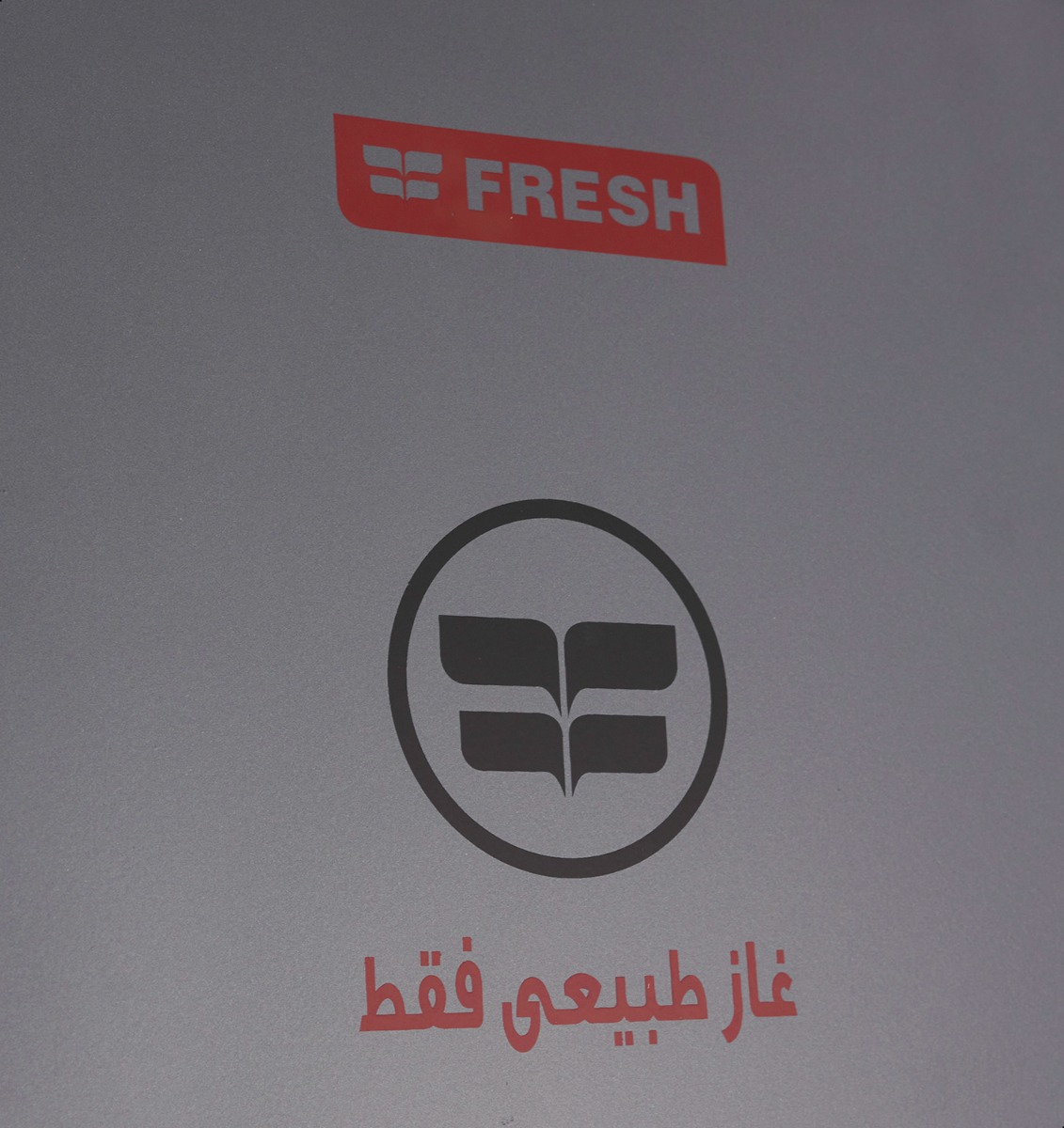 Fresh Gas Water Heater , 6 Liter Silver - Pro 6L Silver