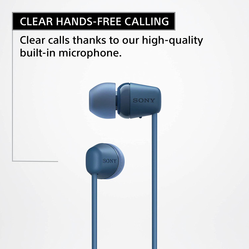 Sony C100 Earphones , Blue