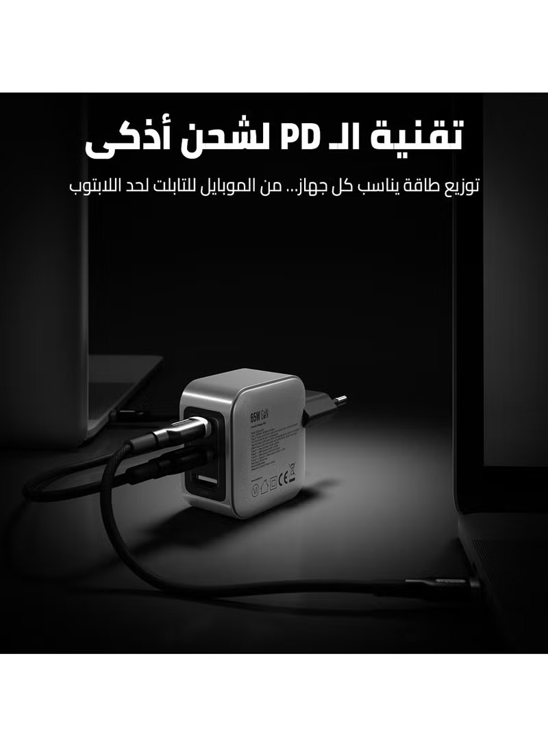 Cardoo Wall Charger , 3 Ports Triple Port , 65 Watt Silver Black - CGLAEU02
