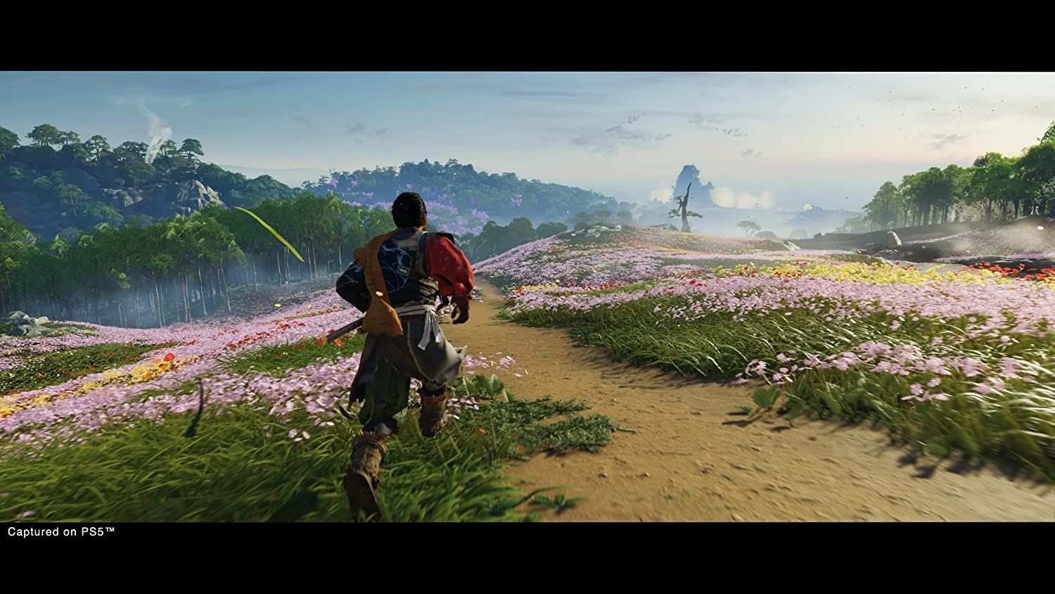 Ghost Of Tsushima Directors Cut Game