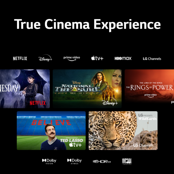 شاشة تلفزيون سمارت ال جي ، مقاس 55 بوصة ، OLED Evo ، دقة 4K UHD ، بريسيفر داخلي