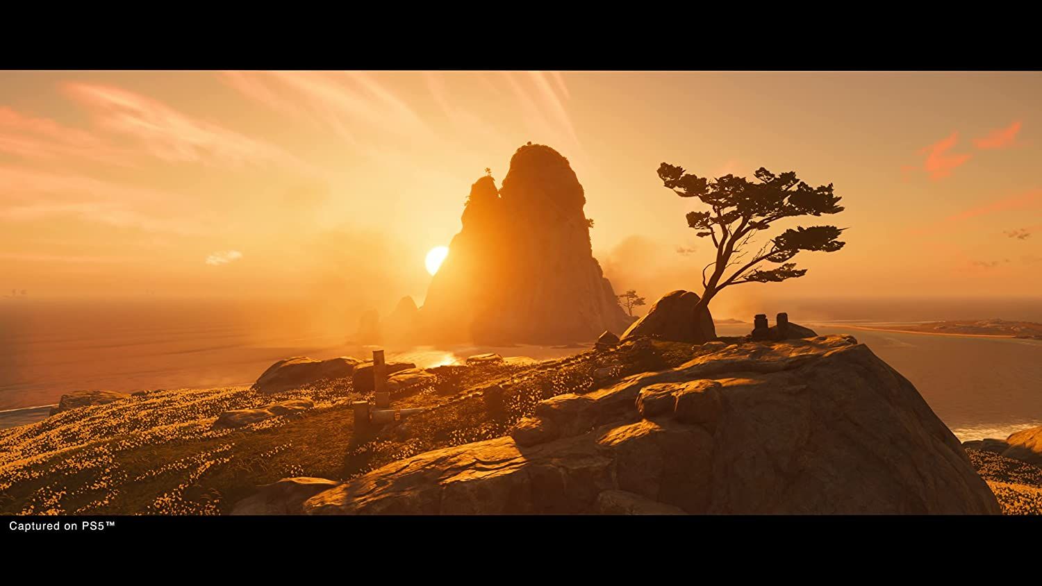 Ghost Of Tsushima Directors Cut Game