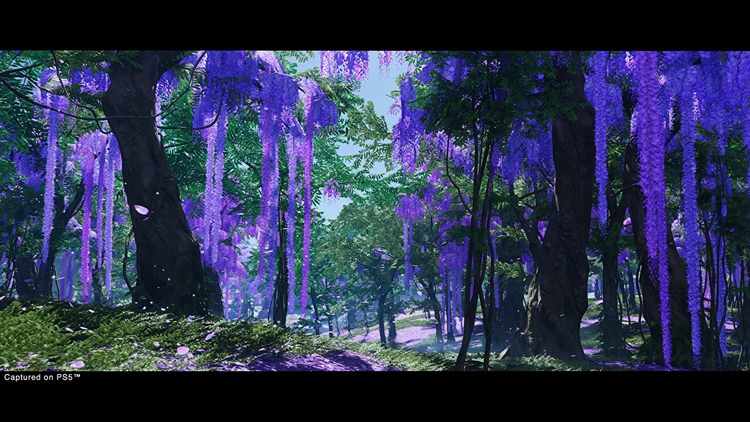Ghost Of Tsushima Directors Cut Game