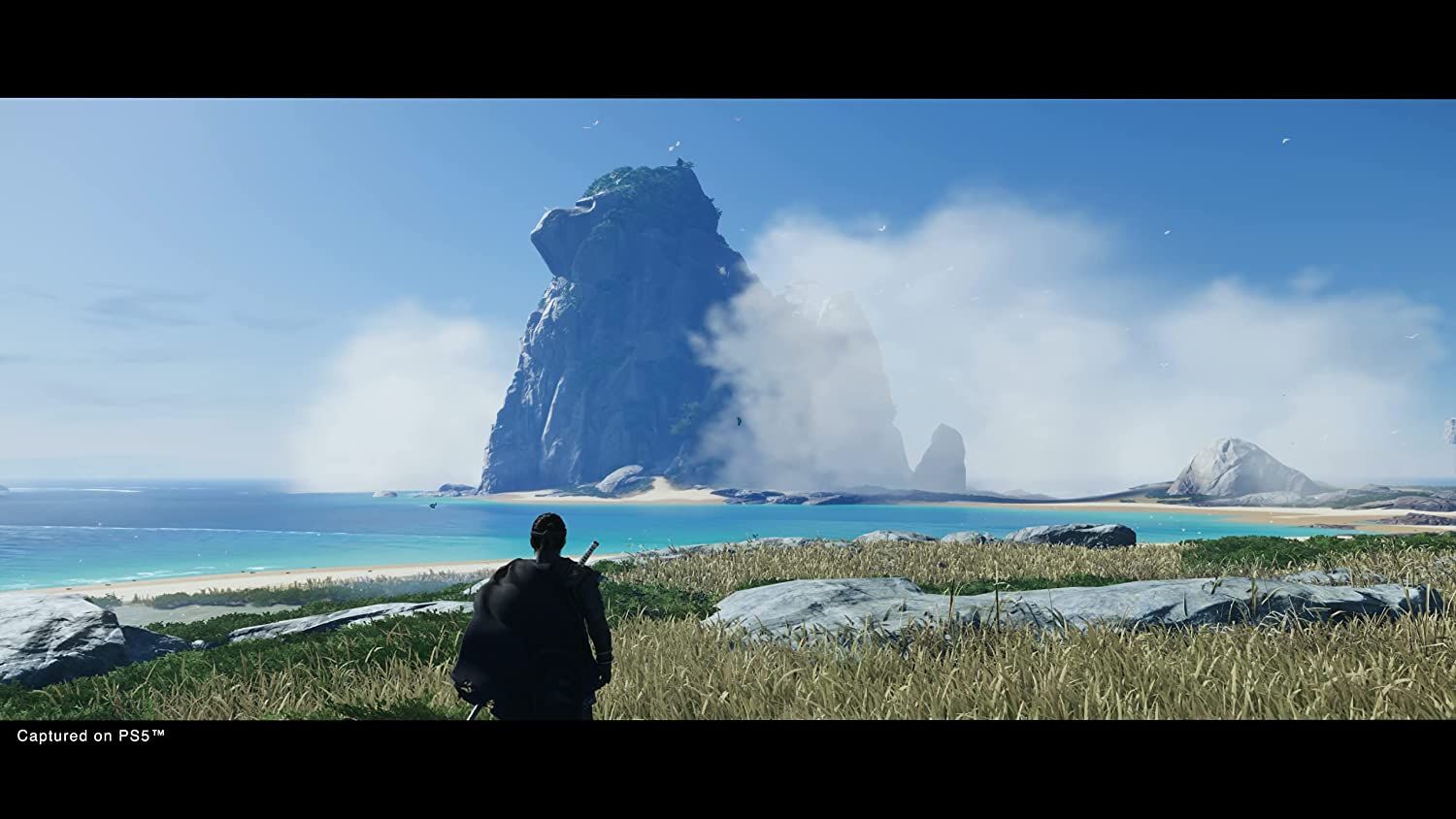 Ghost Of Tsushima Directors Cut Game