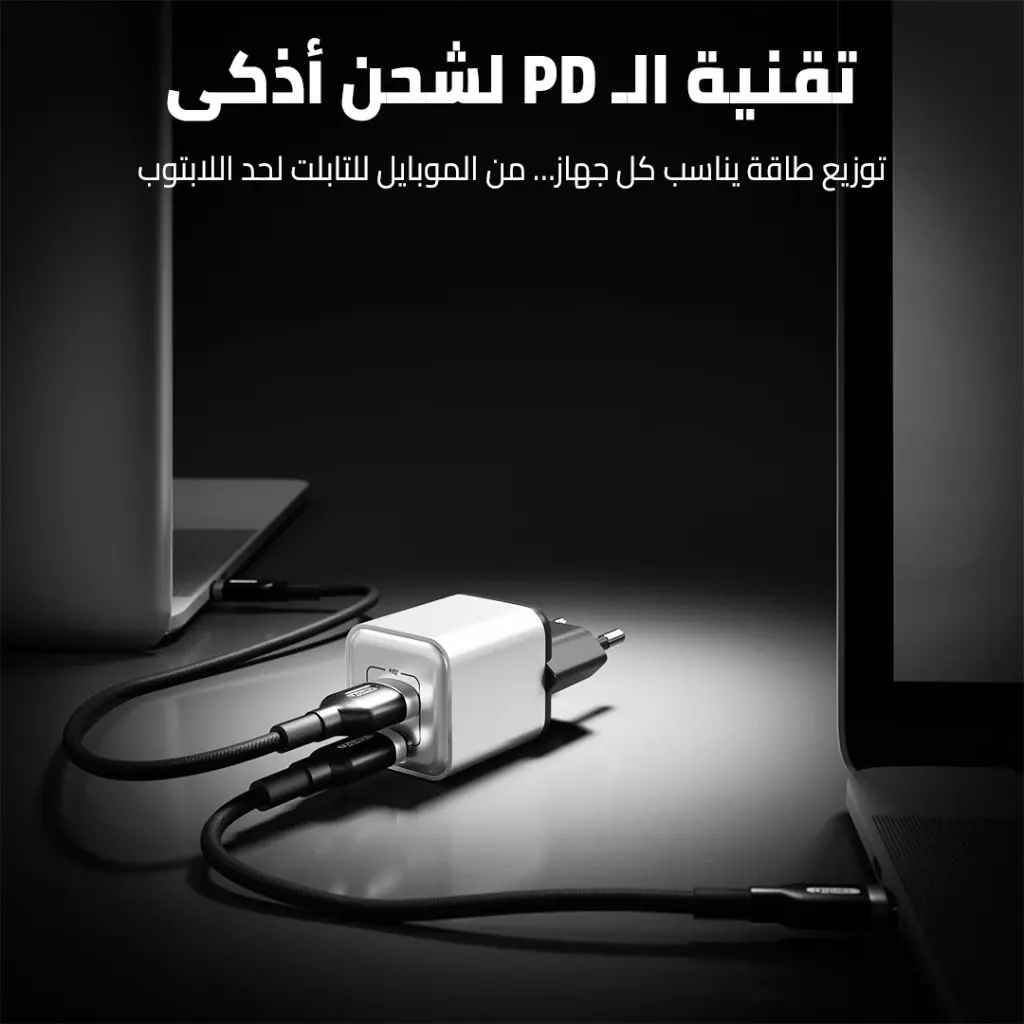 Cardoo Wall Charger , 2 Ports Dual Ports Type C and A , 35 Watt 240 Volt Black Silver - CGLAEU01
